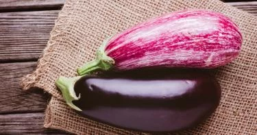 اختيار باذنجان المحشي والتخليل