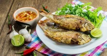 صوص