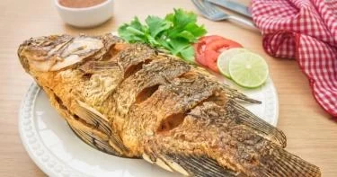 طبق رئيسي