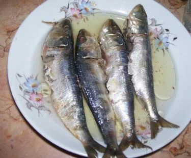 طبق رئيسي