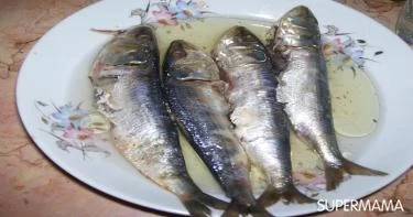 طبق رئيسي