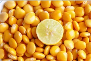 مقبلات